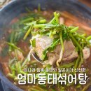 엄마동태섞어탕 | 수원 엄마동태섞어탕 재료가 푸짐한 해장하기 좋은 아주대맛집