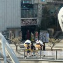 라베니체주짓수