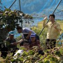 부춘농장 이미지