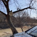밤골경로당 | [캠핑장 리뷰] 파주 밤골캠핑장 / 당일캠핑 후기
