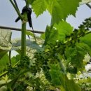 화수농장 이미지