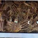 해송 | [주문진] 강릉 주문진횟집 찾는다면? 주문진회포장·주문진수산시장 맛집 해송횟집 방어회 후기