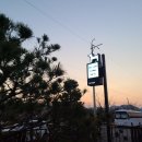 멍이댕이 이미지