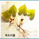 불갑사 관광안내소 이미지