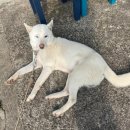 솔방울민박 이미지