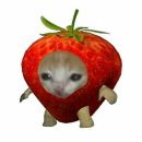 시아와세 네이버블로그