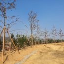 청주 제2순환로 이미지