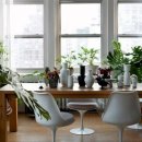 식물 인테리어 이미지