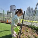 26.04.08 원어민 영어 외 이미지