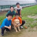 소중농원 이미지