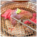 시청(연제) 이미지