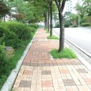 솔빛도서관 이미지