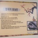 정情가네