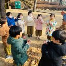 🌳숲Day - 겨울 눈을 만나요🌳 이미지