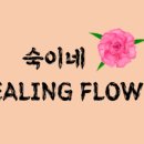 힐링플라워 이미지