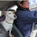 장산민박 이미지