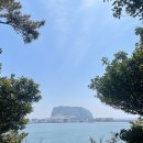 제주 올레길 2코스 | 제주 올레길 2코스 광치기 해변에서 온평포구까지