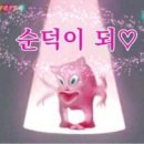 하노