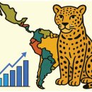 만 마리의 호랑이 이미지