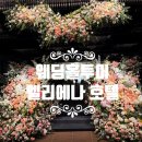 강남-290 | [웨딩#2_웨딩홀] 엘리에나 호텔 투어 주차 식사 후기 서울 강남 호텔 웨딩 잔여 타임 및 견적 확인