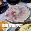 총각도매횟집 - 사하구 장평로 282 | 총각도매횟집