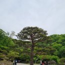 보고싶고,즐기고 싶은 청주투어_정기투어 | [경기 광주시] 가족 친구 연인끼리 가기 좋은 &#39;화담숲&#39; (5월6일 방문)