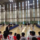 용인대행복한태권도장 이미지