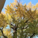 문창제 놀이 이미지