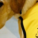 효자건설(주) 이미지