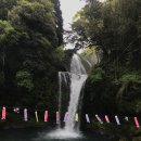 폭포수목장 이미지