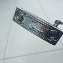 라인골프 이미지