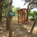 달성보 녹색길 이미지