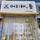 머리해,봄 이미지