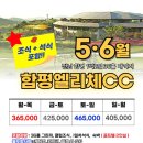 함평엘리체CC 이미지