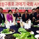 구룡포과메기