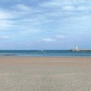 표선리-16 이미지