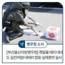 부산지방병무청 이미지