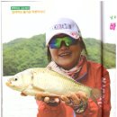 남도손맛 이미지