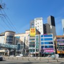 필결혼정보 이미지