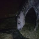 순산목장 이미지