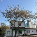 대륜세탁소 이미지