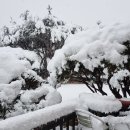 겨울연가