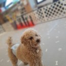 우리봄이네 이미지