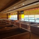 자갈치효소편백원 이미지