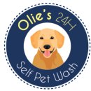 올리스24셀프목욕 이미지