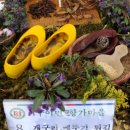 완주 와일드푸드축제..향수 피어나고 와일드한 음식 즐겨보자! 이미지