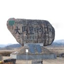 955포병