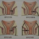 “항문” 부끄럽지만 소중한곳, 이미지