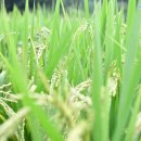 백양 마을회관 이미지