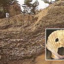 범방동 패총 이미지